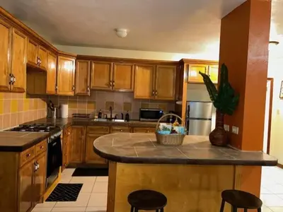 a kitchen with wooden cabinets and a island with a potted plant at JYM Blissful Escape in Tortola Island
