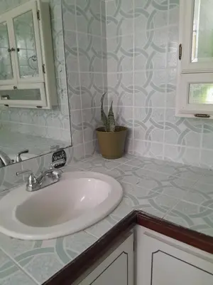 a bathroom with a sink and a potted plant at Abigail Diamond 1 Bedroom near Nanny Cay Marina in Tortola Island