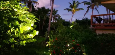 a view of a balcony of a resort with palm trees at Bayview Vacation Apartments in Virgin Gorda