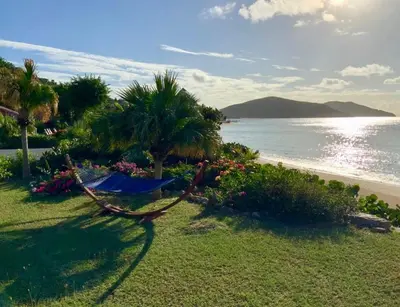 a hammock on the grass next to the beach at BEACH DREAMS in Virgin Gorda
