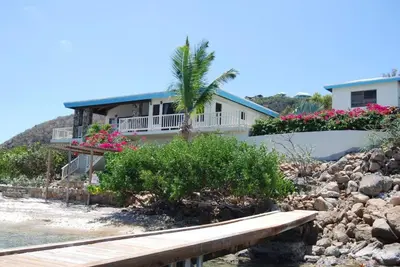 a house with a palm tree and a wooden bench at SERENDIPITY in Virgin Gorda