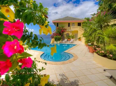 a house with a swimming pool in front of the ocean at A DREAM COME TRUE VILLA in Virgin Gorda