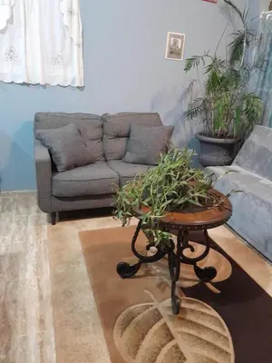 a living room with a couch and a table with plants at Abigail's Spectacular 2 bedrooms-Entire Apartment in Tortola Island