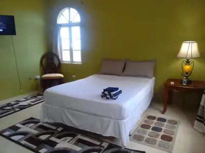 a bedroom with a white bed in a green room at Abigail's Splendor -2 Bedroom Entire Apartment in Tortola Island