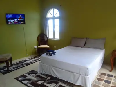 a bedroom with a white bed in a green room at Abigail's Splendor -2 Bedroom Entire Apartment in Tortola Island